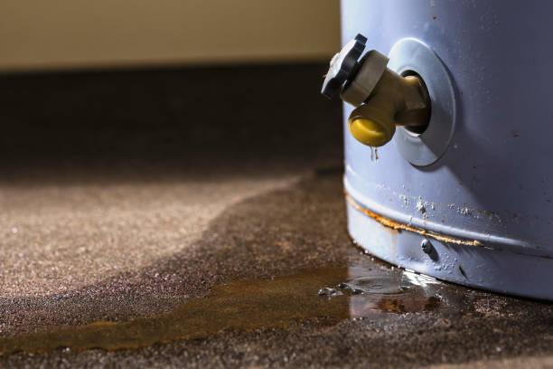 Best Water damage restoration process  in Phenix City, AL