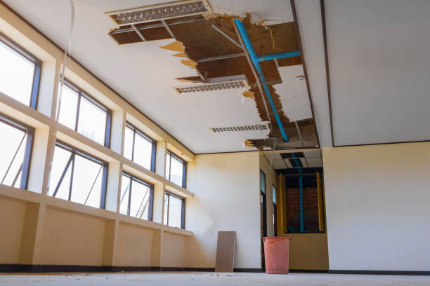 Best Water damage cleanup near me  in Phenix City, AL