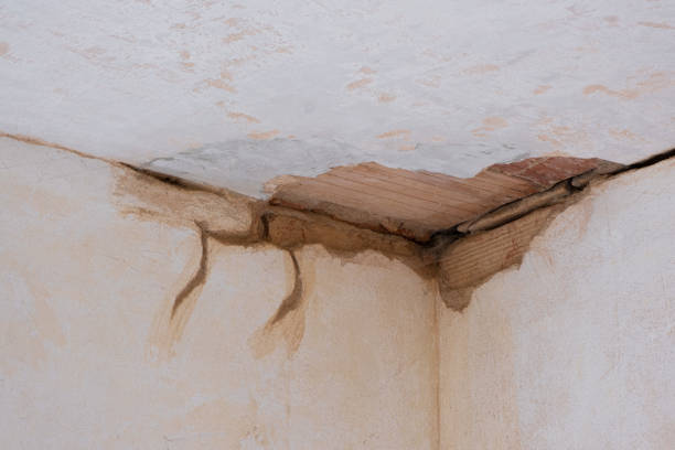 Best Fire Damage Restoration  in Phenix City, AL