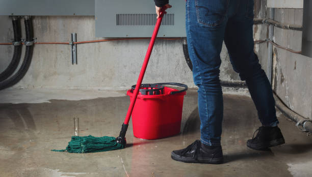 Best Carpet water damage restoration  in Phenix City, AL