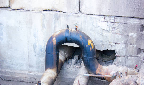 Best Water damage mitigation services  in Phenix City, AL